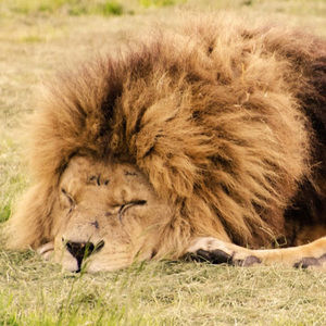 Meet your Posher, Bryson